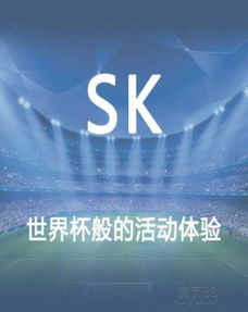 大型公關(guān)活動(dòng)策劃 從藍(lán)圖到輝煌